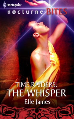 Cover of Time Raiders