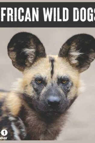 Cover of African Wild Dogs 2021 Wall Calendar