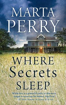 Book cover for Where Secrets Sleep