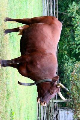 Book cover for North Devon Ruby Red Cow