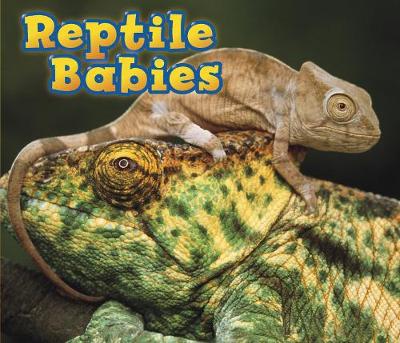 Book cover for Reptile Babies