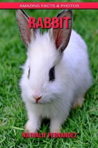 Cover of Rabbit