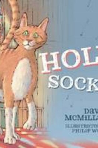 Cover of Holy Socks