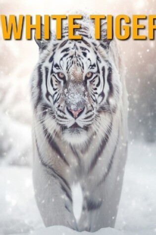 Cover of White Tiger