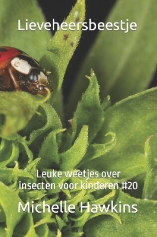 Cover of Lieveheersbeestje