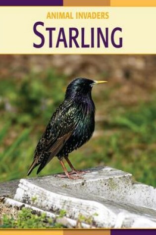 Cover of Starling