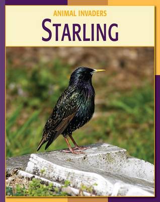Cover of Starling