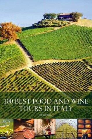 Cover of 100 Best Food and Wine Tours in Italy