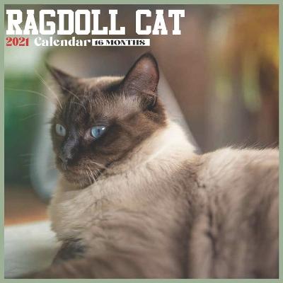 Book cover for Ragdoll Cat 2021 Calendar