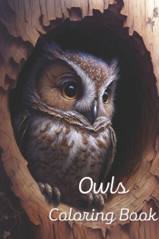 Cover of Owl Coloring Book