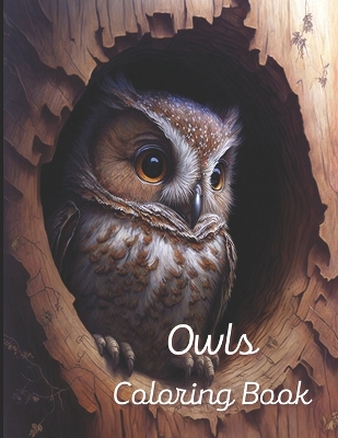 Book cover for Owl Coloring Book