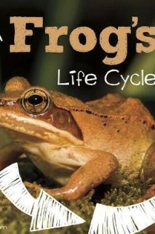 Cover of A Frog's Life Cycle