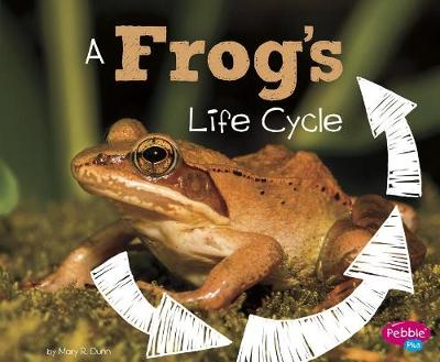 Book cover for A Frog's Life Cycle