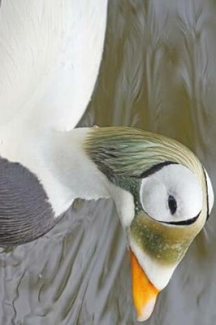 Cover of A Spectacle Eider on the Pond Journal