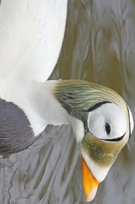 Book cover for A Spectacle Eider on the Pond Journal