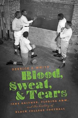 Book cover for Blood, Sweat, and Tears
