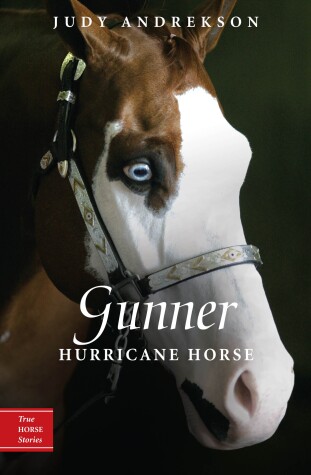 Cover of Gunner