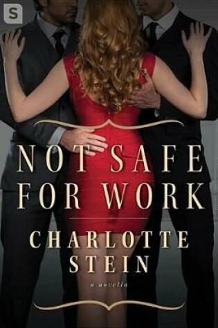 Cover of Not Safe for Work