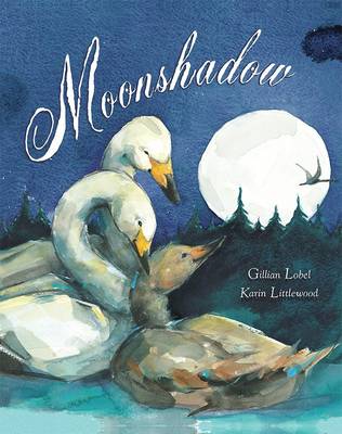 Book cover for Moonshadow