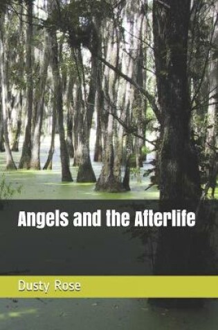 Cover of Angels and the Afterlife