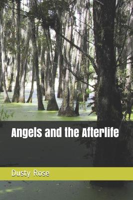 Book cover for Angels and the Afterlife