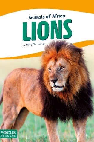 Cover of Lions