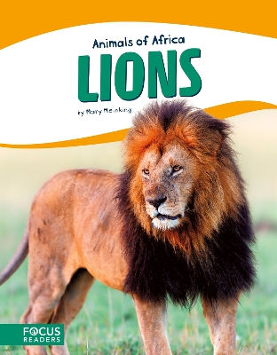 Book cover for Lions