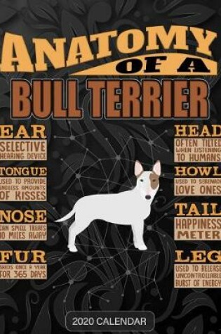 Cover of Anatomy Of A English Bull Terrier