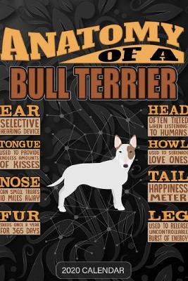 Book cover for Anatomy Of A English Bull Terrier