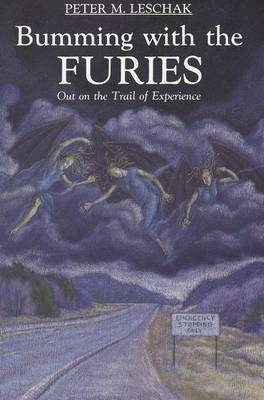 Book cover for Bumming with the Furies