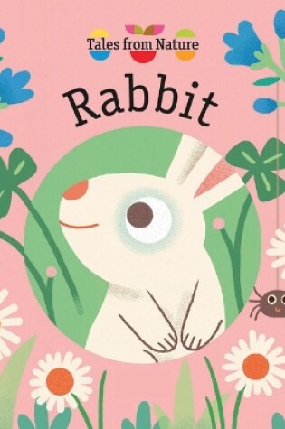 Cover of Rabbit