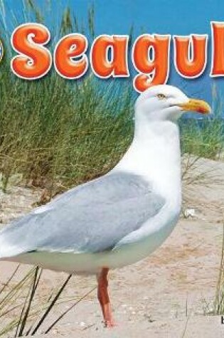 Cover of Seagulls