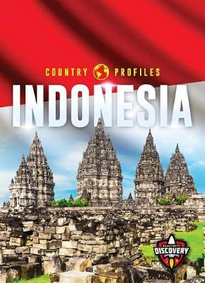 Book cover for Indonesia