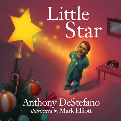 Book cover for Little Star