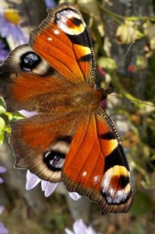 Cover of European Peacock Butterfly on Flowers, for the Love of Nature