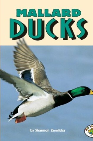 Cover of Mallard Ducks