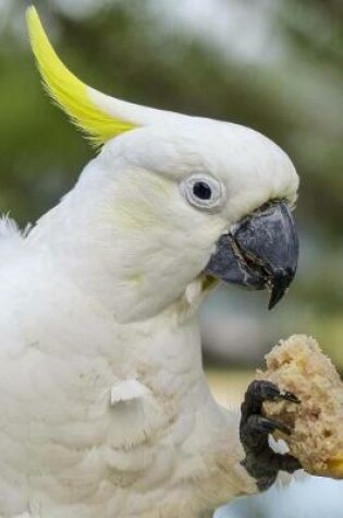 Cover of Snack Time for the Cockatoo Journal