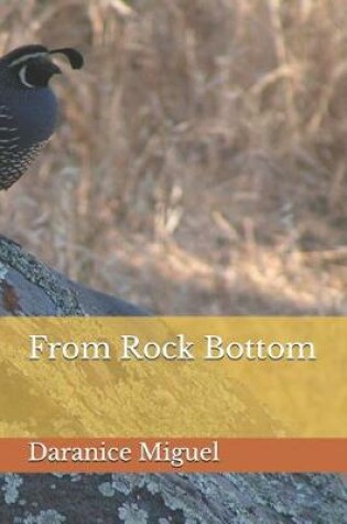 Cover of From Rock Bottom
