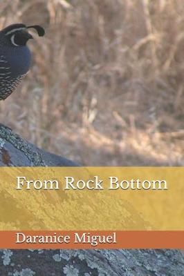Book cover for From Rock Bottom