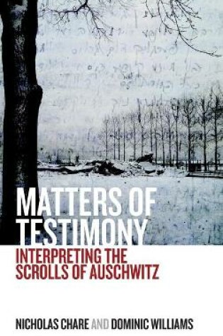 Cover of Matters of Testimony