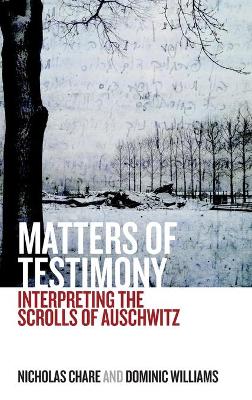 Book cover for Matters of Testimony