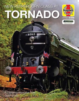 Book cover for Tornado (Icon)