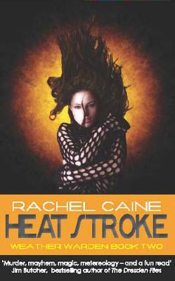 Book cover for Heat Stroke