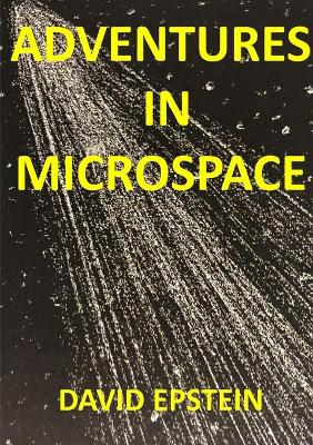 Book cover for Adventures In Microspace