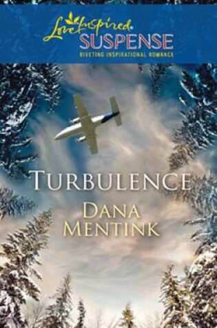 Cover of Turbulence