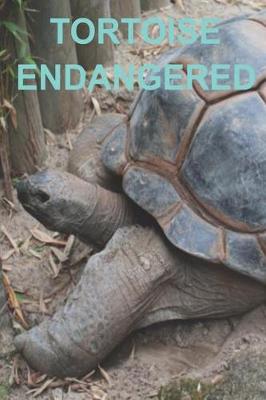 Book cover for Tortoise Endangered