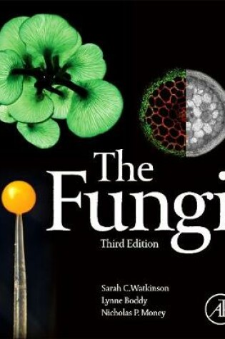 Cover of The Fungi