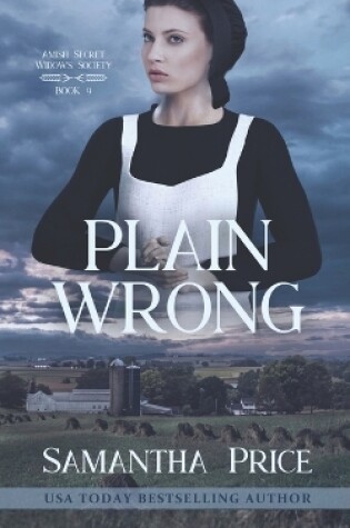 Cover of Plain Wrong