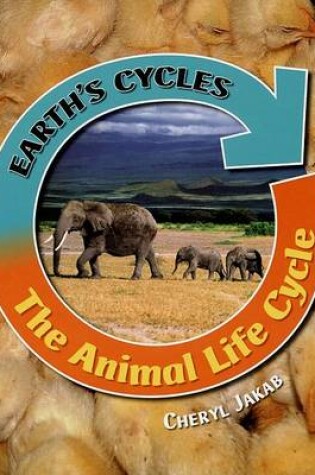 Cover of Us Animal Life Cycle