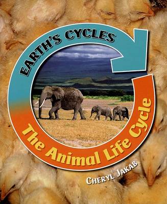 Book cover for Us Animal Life Cycle